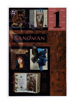 Sandman (1989) #41 Neil Gaiman - RAW - Collection Copy