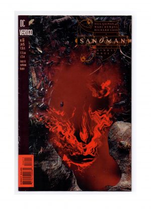 Sandman (1989) #66 Neil Gaiman - RAW - Collection Copy