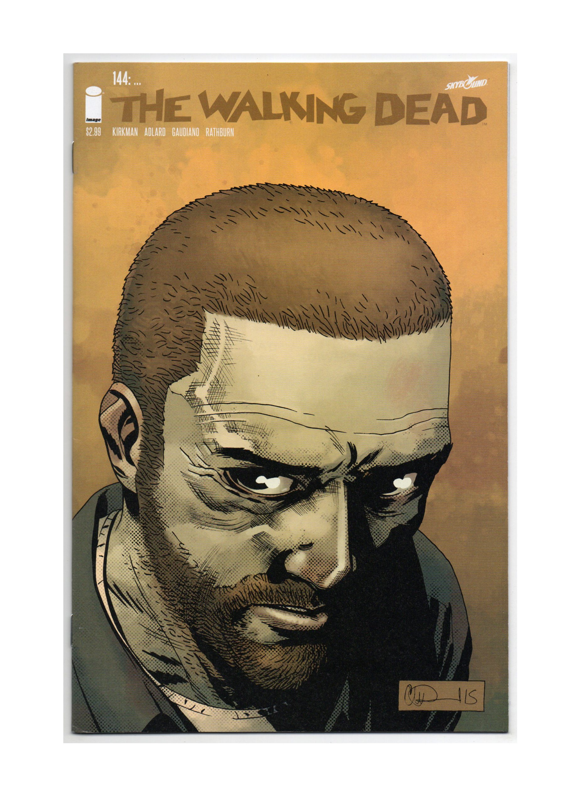 Walking Dead # 144 1st Print NM AMC Zombie Tons of Walking Dead Books 