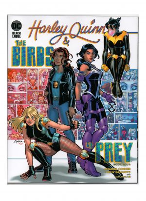 Harley Quinn and The Birds of Prey (2020 DC Black Label) #04A - Jimmy Palmiotti  Amanda Conner - RAW - Collection Copy