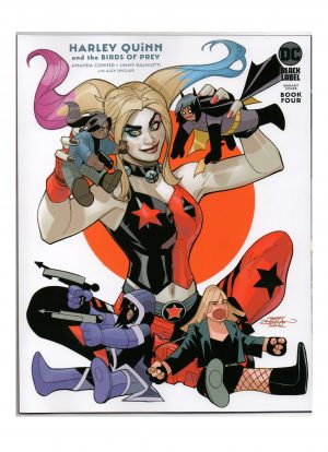 Harley Quinn and The Birds of Prey (2020 DC Black Label) #04B - Jimmy Palmiotti  Terry Dodson - RAW - Collection Copy
